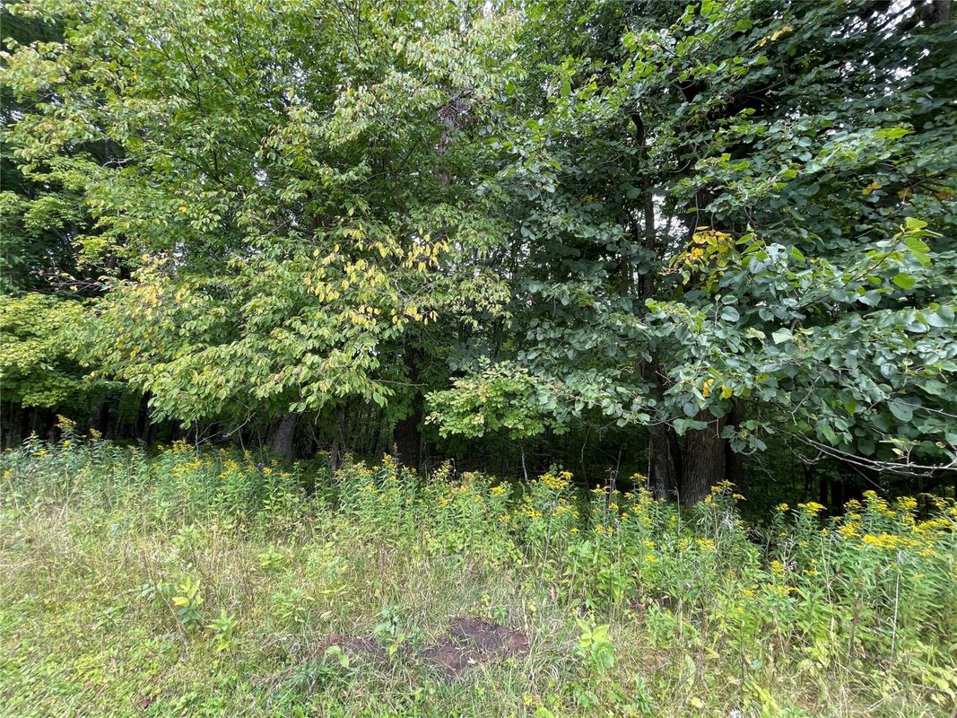 Lot 9 Hermosa Lane, Hayward, WI — photo 6