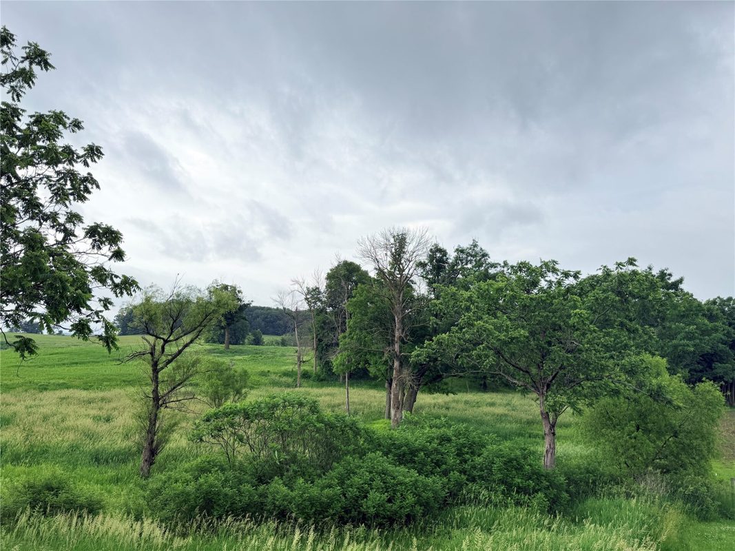 0 Grandview Drive, Fall Creek WI 54727 - Land house for sale - MLS #1603307 - image2