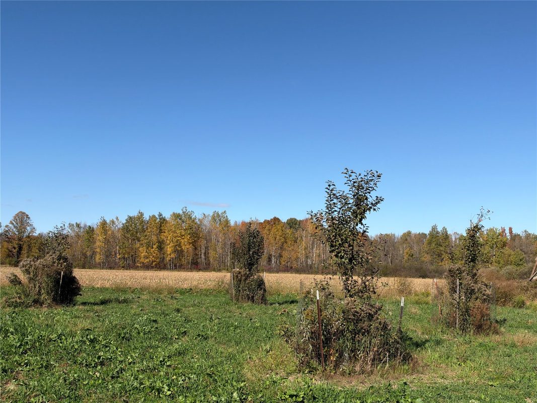 OOO RICHFIELD WOOD ROAD, Arpin WI 54410 - Land house for sale - MLS #1605936 - image46