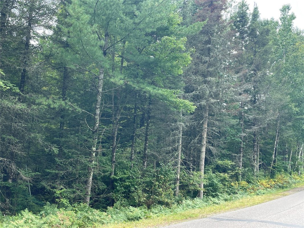 Lot 4 Hermosa Lane, Hayward, WI — photo 3