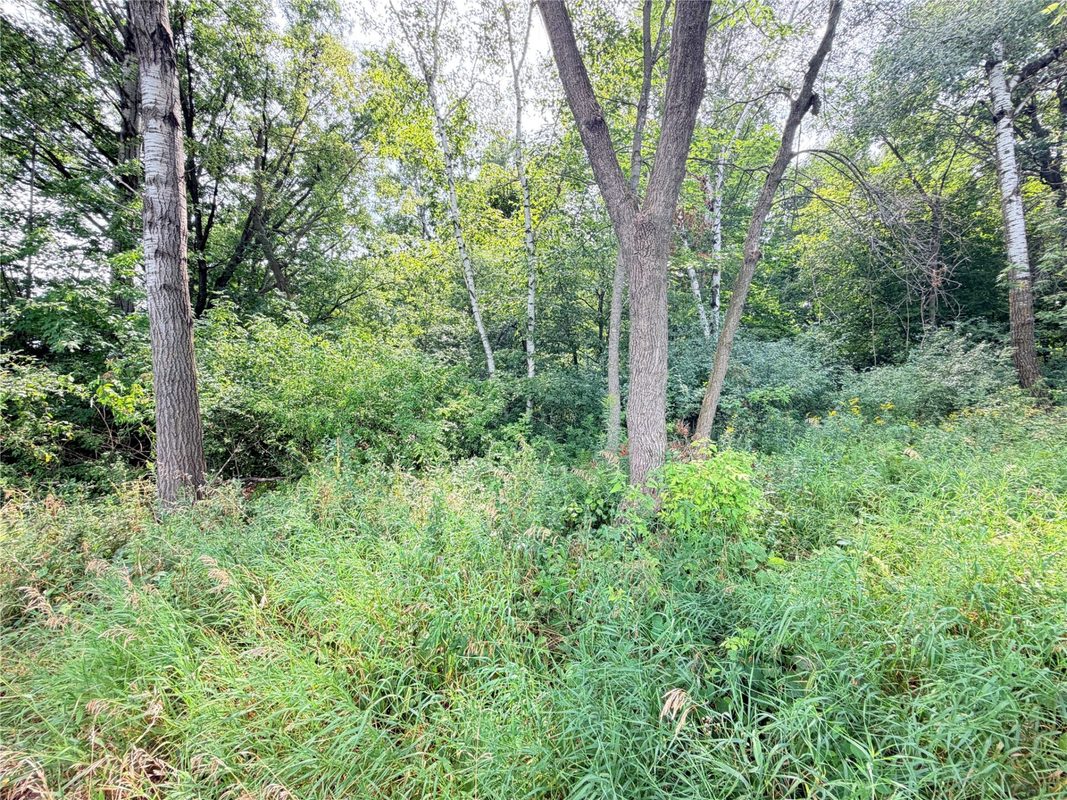 10 Acres Lot 4 230th Street, St Croix Falls WI 54024 - Land house for sale - MLS #1606210 - image3