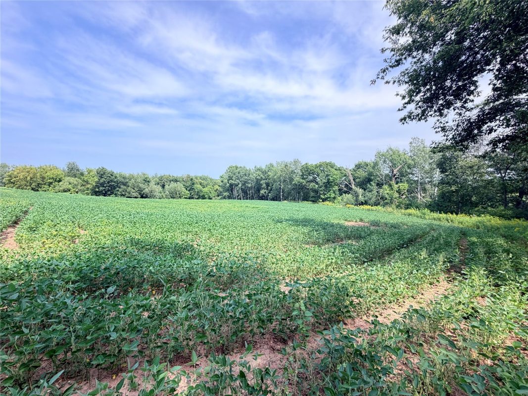10 Acres Lot 4 230th Street, St Croix Falls WI 54024 - Land house for sale - MLS #1606210 - image4