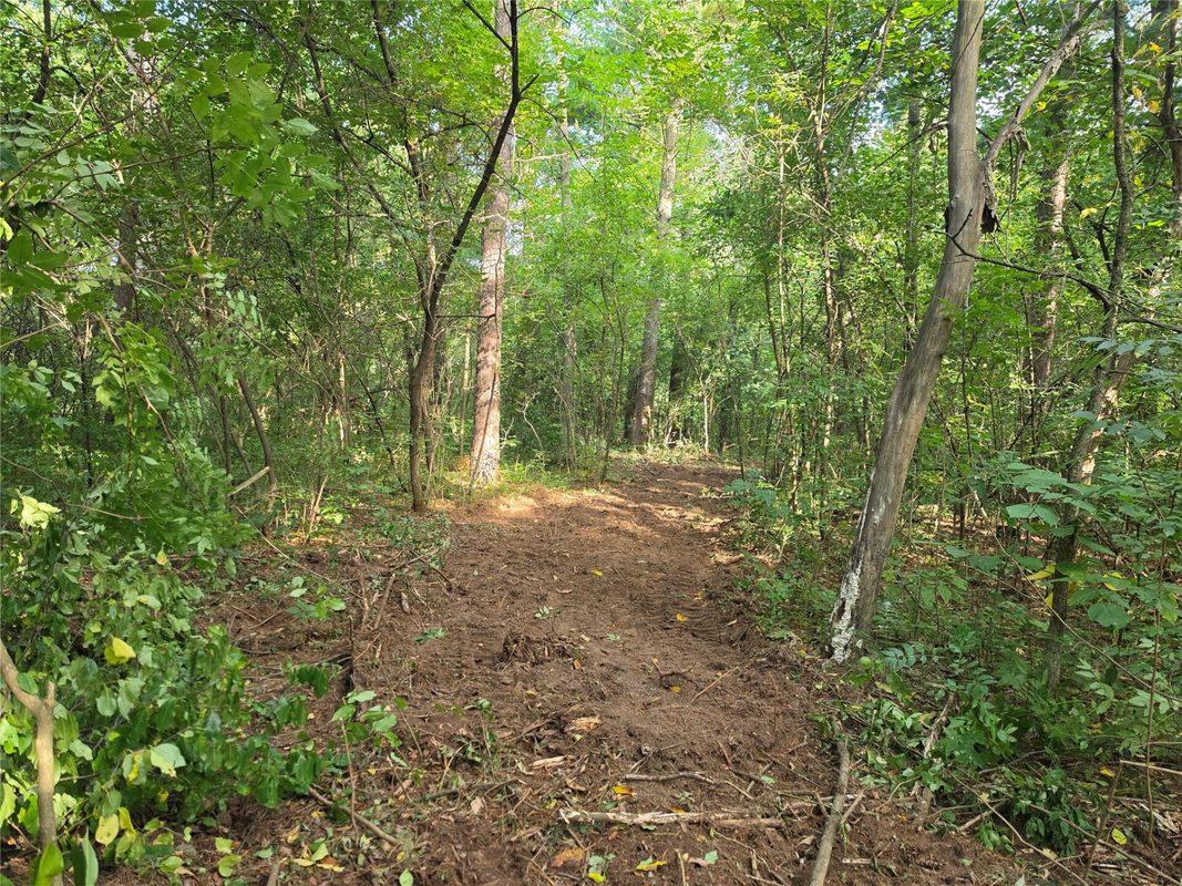 0 Country Road C Lot 1, Elk Mound WI 54739 - Land house for sale - MLS #1604589 - image10