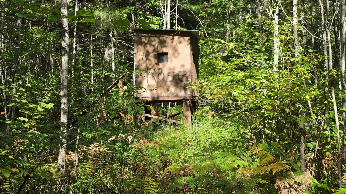 4602W State HWY 70, Winter WI 54896 - Land house for sale - MLS #1605196 - image7