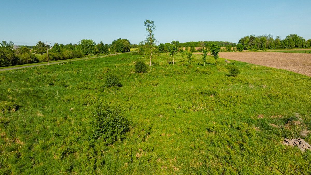 0 Nyes Road, Stanley WI 54768 - Land house for sale - MLS #1601802 - image23