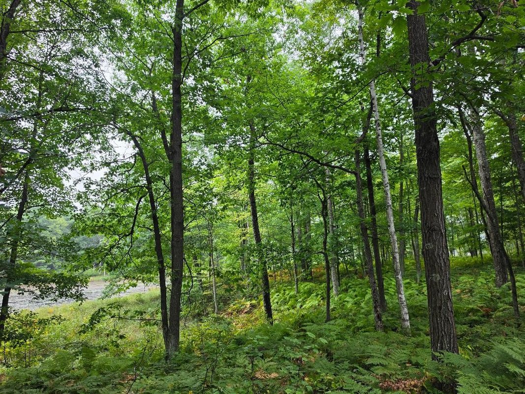 00 10 1/2-28 1/2, Barronett WI 54813 - Land house for sale - MLS #1604830 - image26