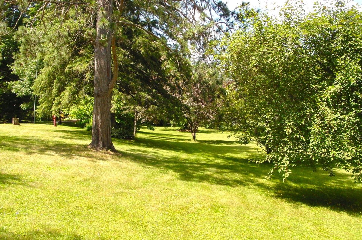 W10529 US Highway 8, Ladysmith WI 54848 - Residential house for sale - MLS #1603124 - image6
