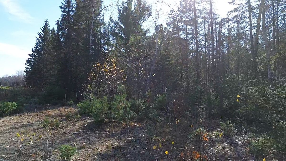 127XX State Highway 70, Couderay WI 54828 - Land house for sale - MLS #1606290 - image19