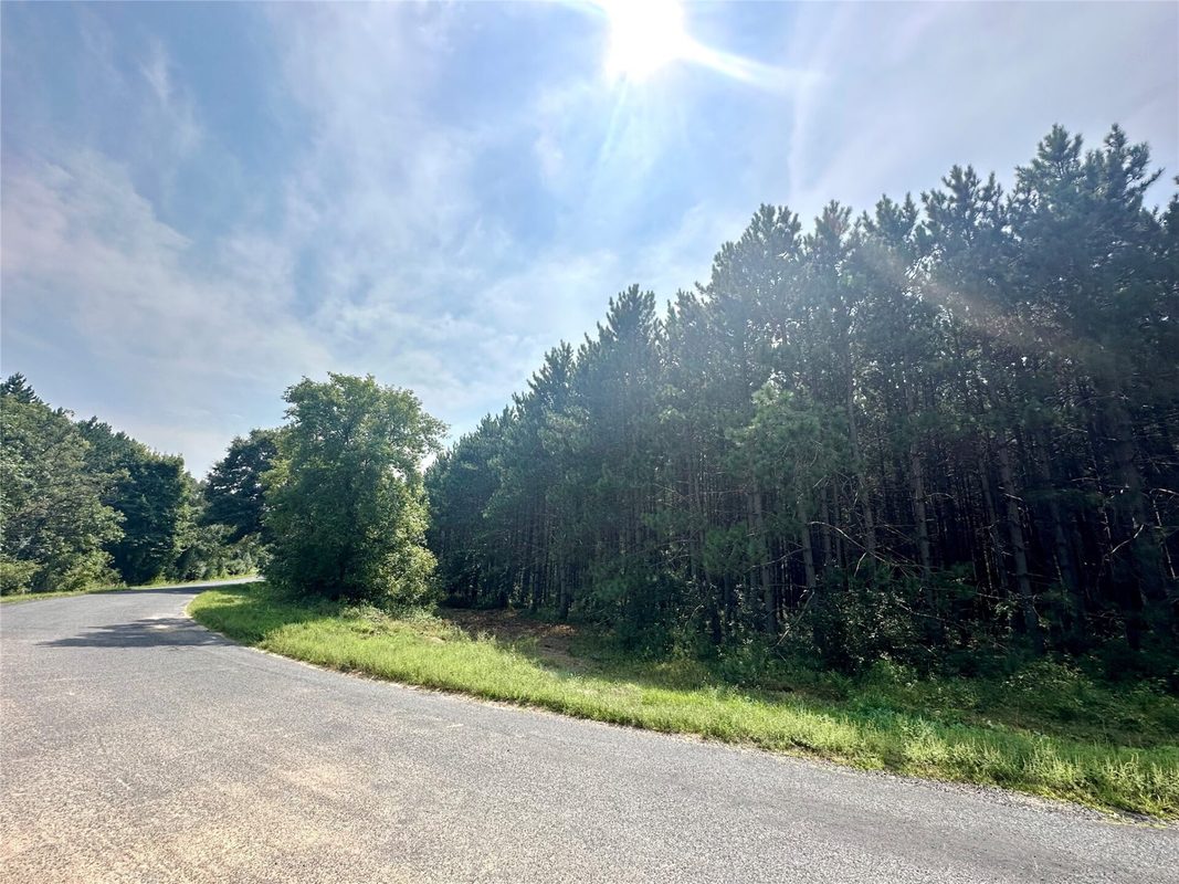 N9679 630th Street, Colfax WI 54730 - Land house for sale - MLS #1604625 - image5