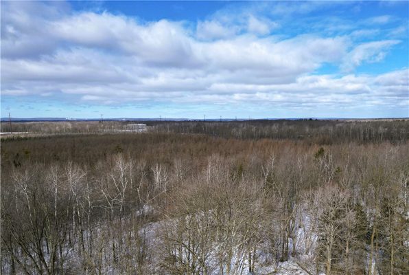 96+ Acres on White Birch Ridge Road Ladysmith WI 54848