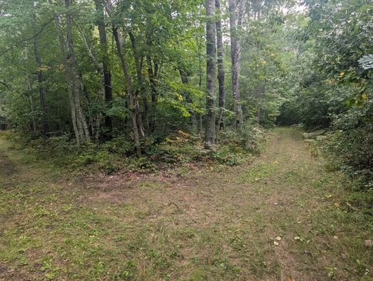 0 Ela Street Trego WI 54888
