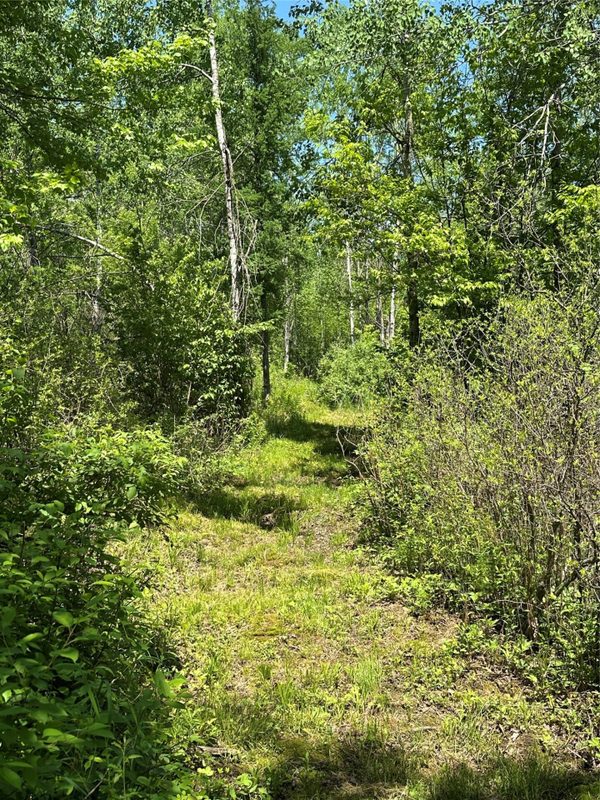 N7642 Crooked Road, Ladysmith WI 54848 - Residential house for sale - MLS #1601657 - image30