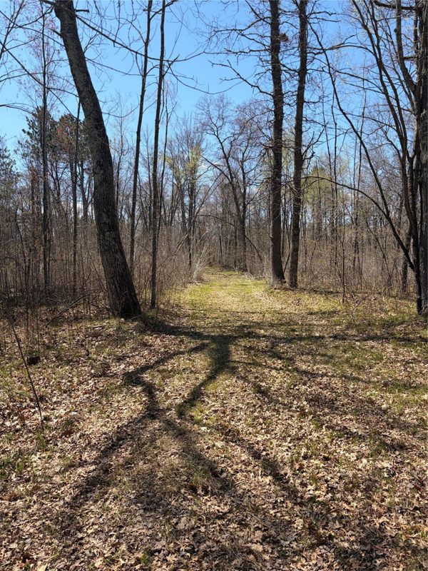 TBD AA Mann Road, Spooner WI 54801 - Land house for sale - MLS #1602850 - image5