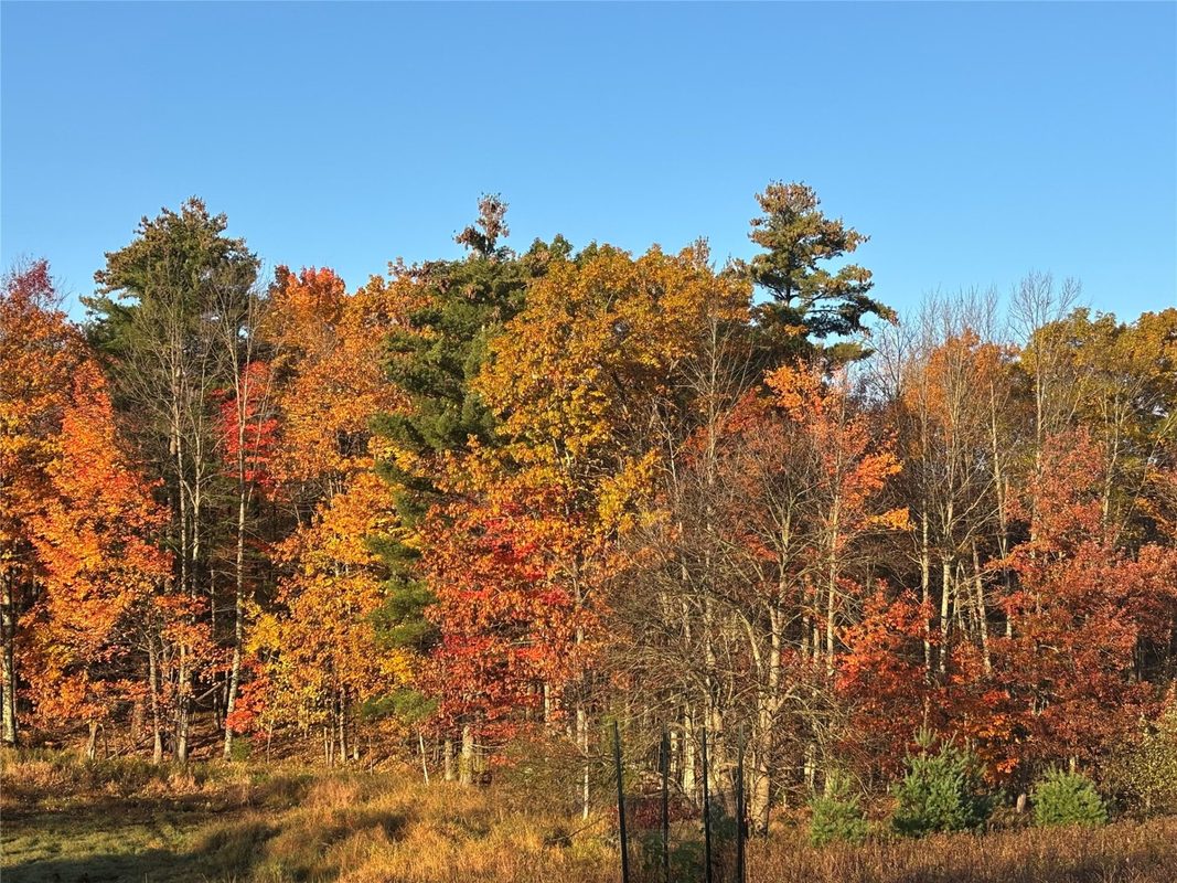 W12030 Old Highway D Road, Holcombe WI 54745 - Residential house for sale - MLS #1604349 - image25