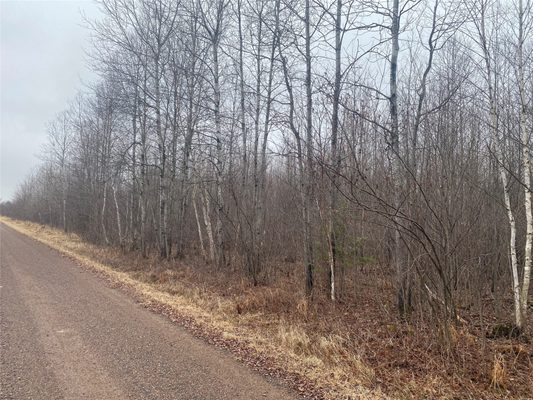 ON Shauger Road, Ogema, WI — photo 2