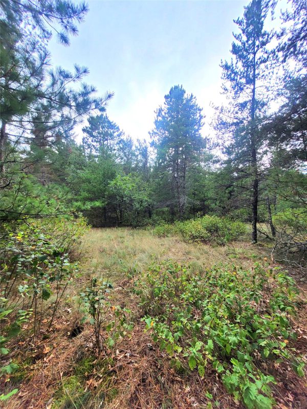 0 Blueberry Rd, Gordon WI 54838 - Land house for sale - MLS #1604990 - image26