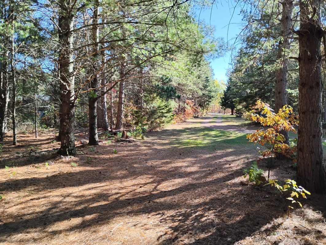 W3602 Willers Road, Springbrook WI 54875 - Residential house for sale - MLS #1602817 - image49