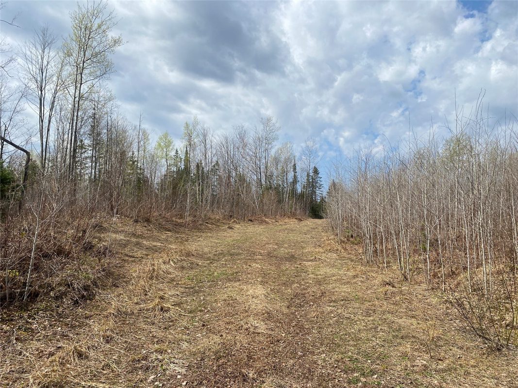 Near Wilson Lake Road Phillips WI 54555 — photo 2
