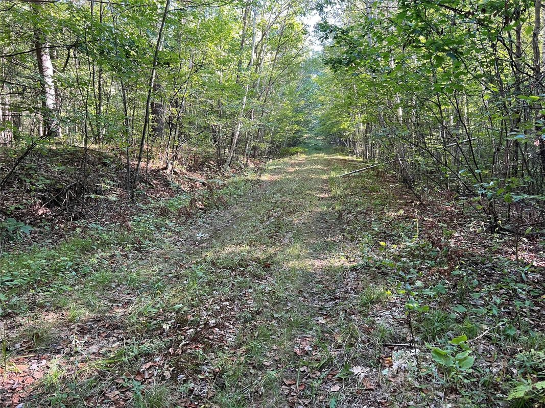 W10712 Popple River Road, Thorp WI 54771 - Land house for sale - MLS #1605082 - image9