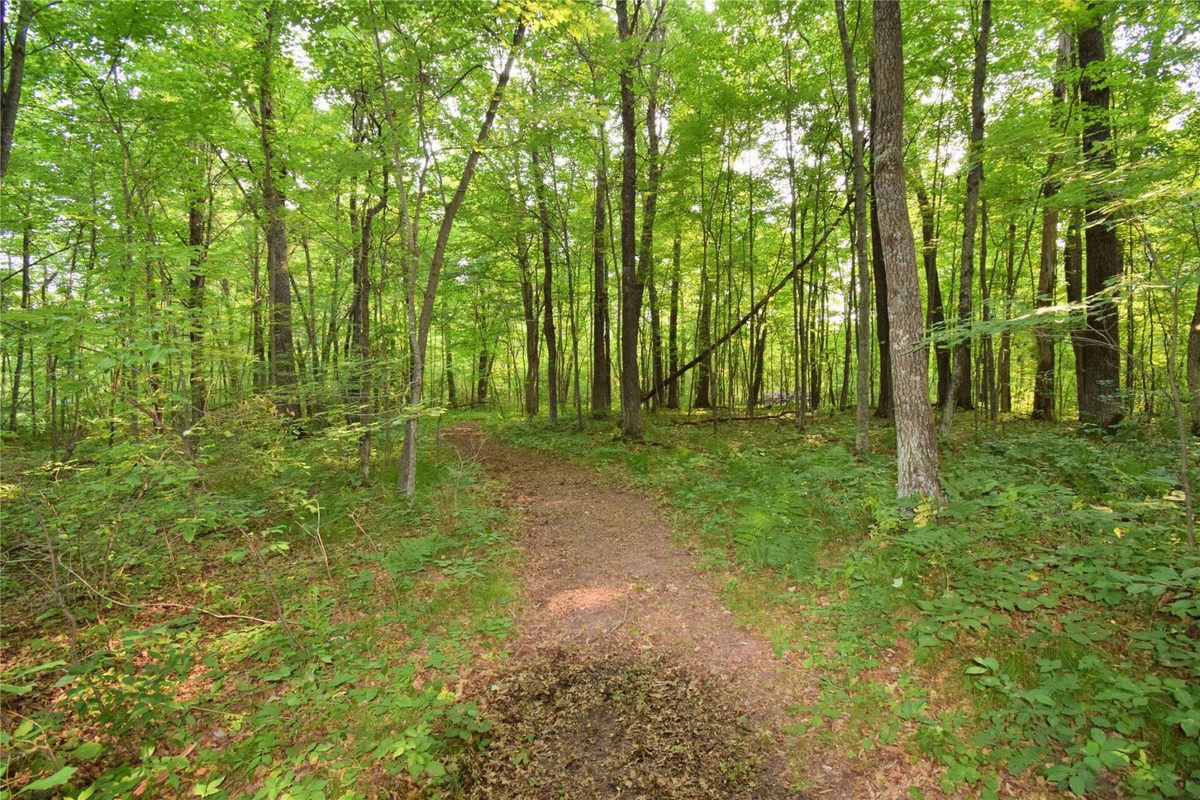 25707 Smith Road, Webster WI 54893 - Residential house for sale - MLS #1604112 - image49