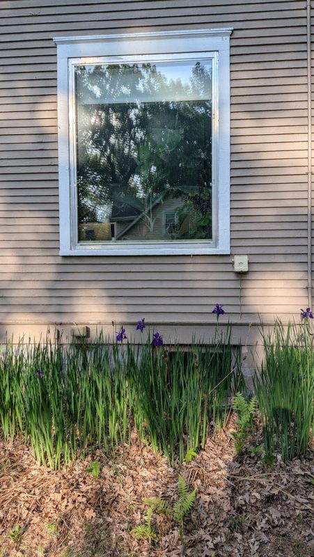 1001 13th Street, Menomonie WI 54751 - Residential house for sale - MLS #1602774 - image36