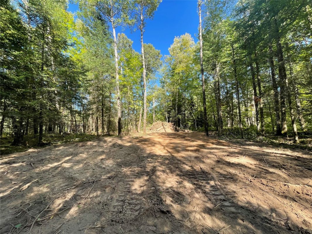 Lot 2 Fadness Road, Winter WI 54896 - Land house for sale - MLS #1605242 - image12
