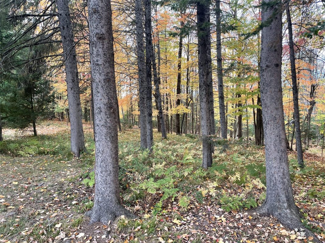 1100 7th Avenue, Park Falls WI 54552 - Residential house for sale - MLS #1606130 - image28