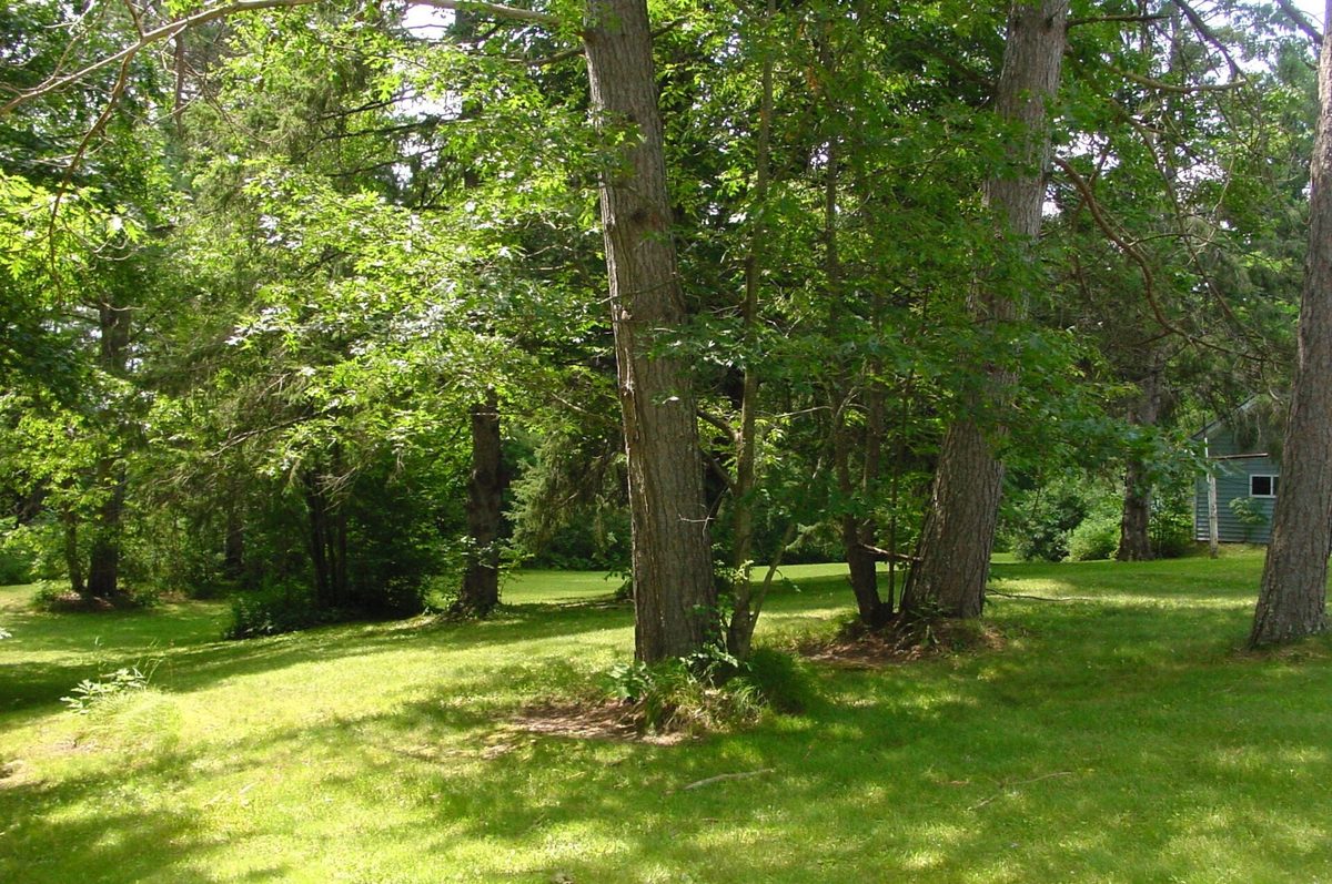 W10529 US Highway 8, Ladysmith WI 54848 - Residential house for sale - MLS #1603124 - image9