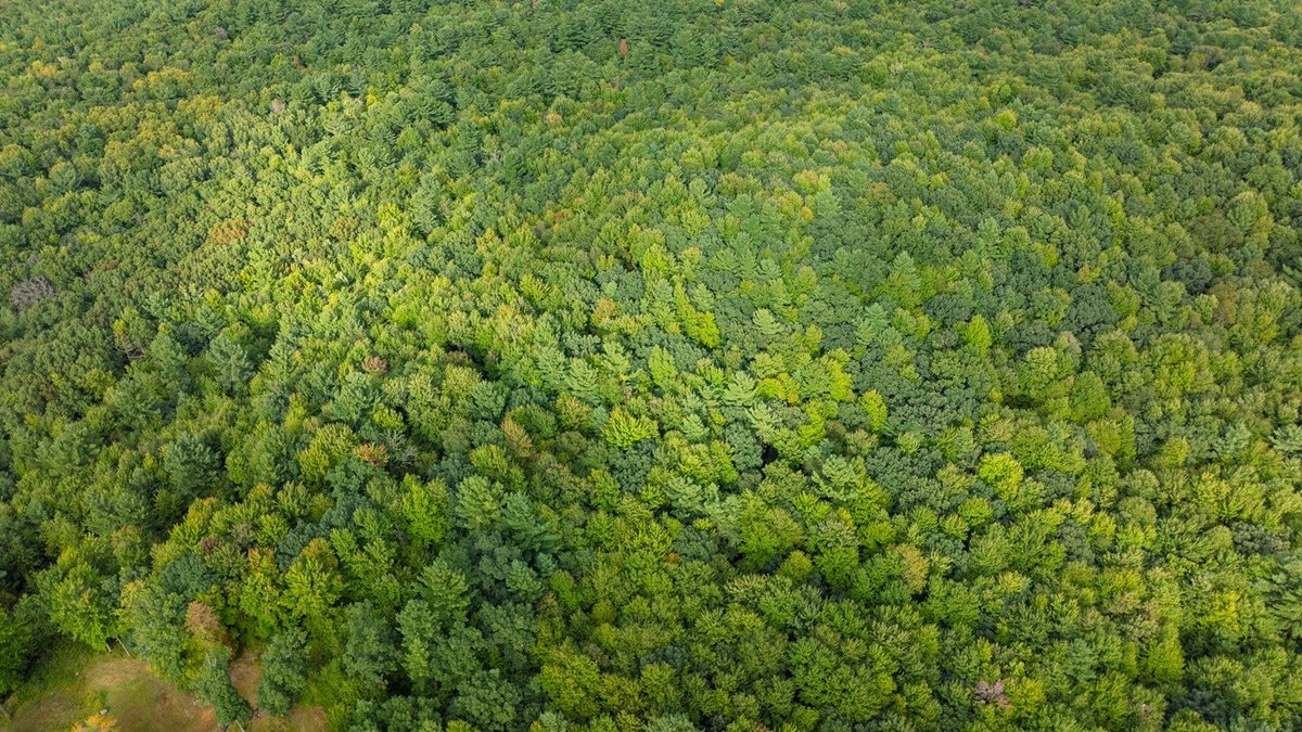 TBD 815th Avenue, Menomonie WI 54751 - Land house for sale - MLS #1605596 - image16