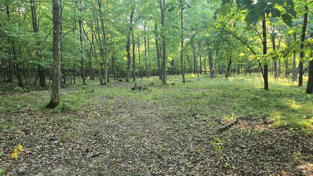 W02 State Highway 64, Colfax WI 54730 - Land house for sale - MLS #1604529 - image17