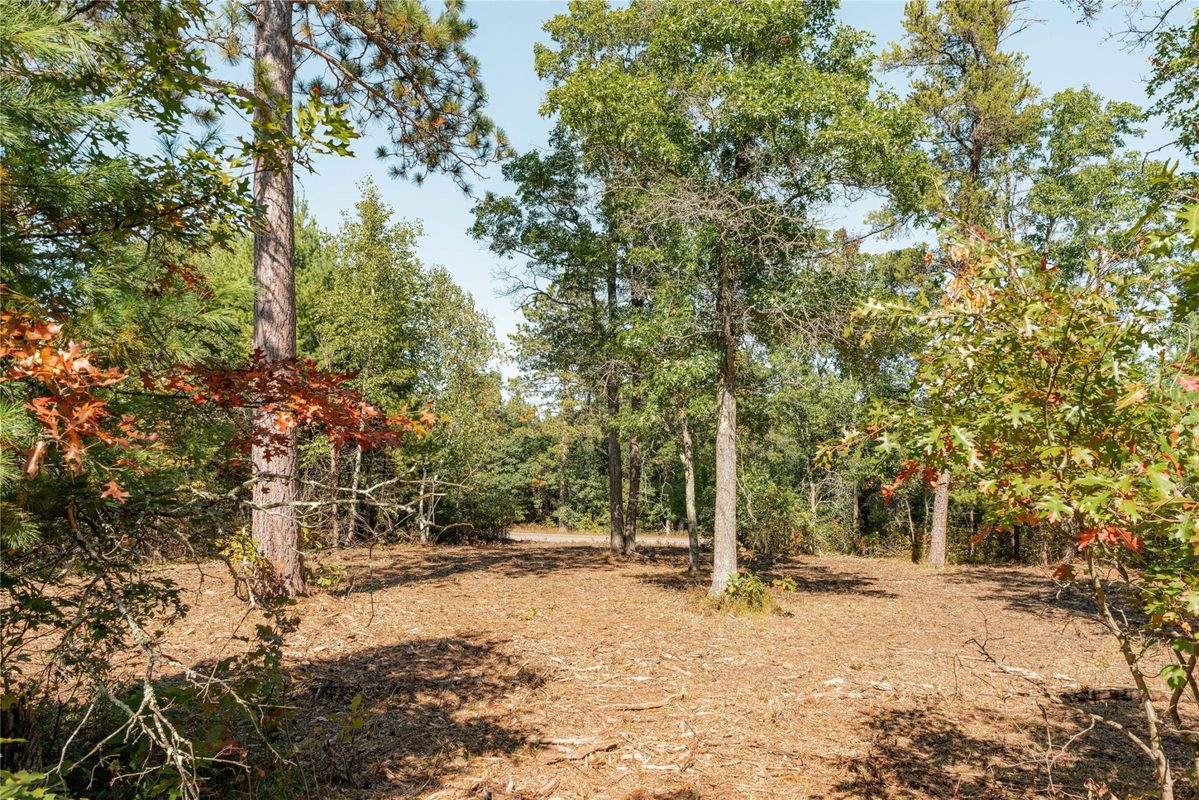 0 County Road T, Minong WI 54859 - Land house for sale - MLS #1605534 - image4