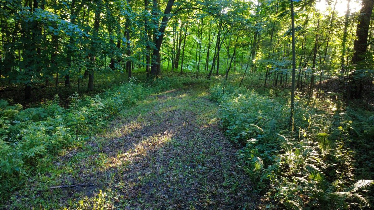 E2505 570th Avenue, Menomonie WI 54751 - Land house for sale - MLS #1603171 - image24
