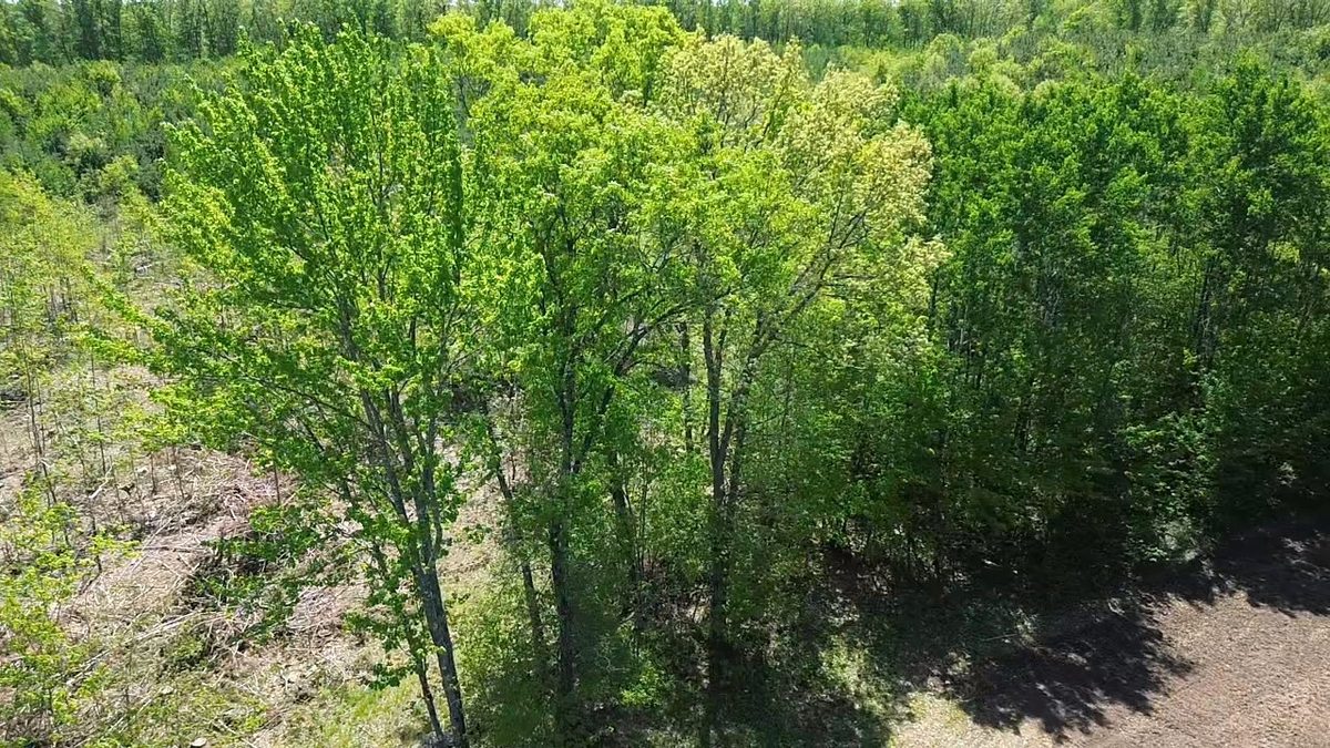 343X 5th Avenue, Spooner WI 54801 - Land house for sale - MLS #1601653 - image10