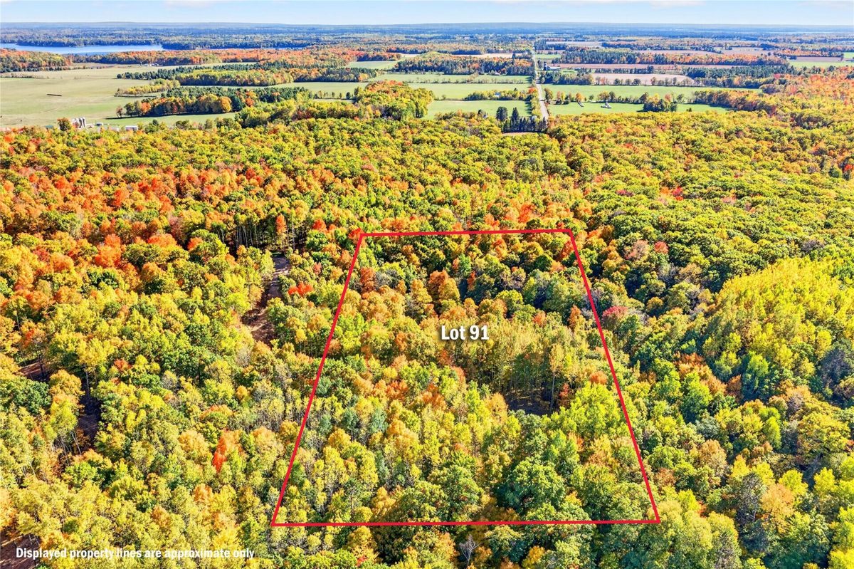13296N Nova Road, Hayward WI 54843 - Land house for sale - MLS #1597013 - image7