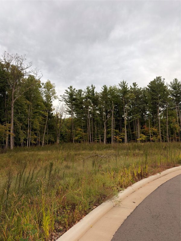 2551 Wisconsin Avenue, Rice Lake WI 54868 - Land house for sale - MLS #1605480 - image9