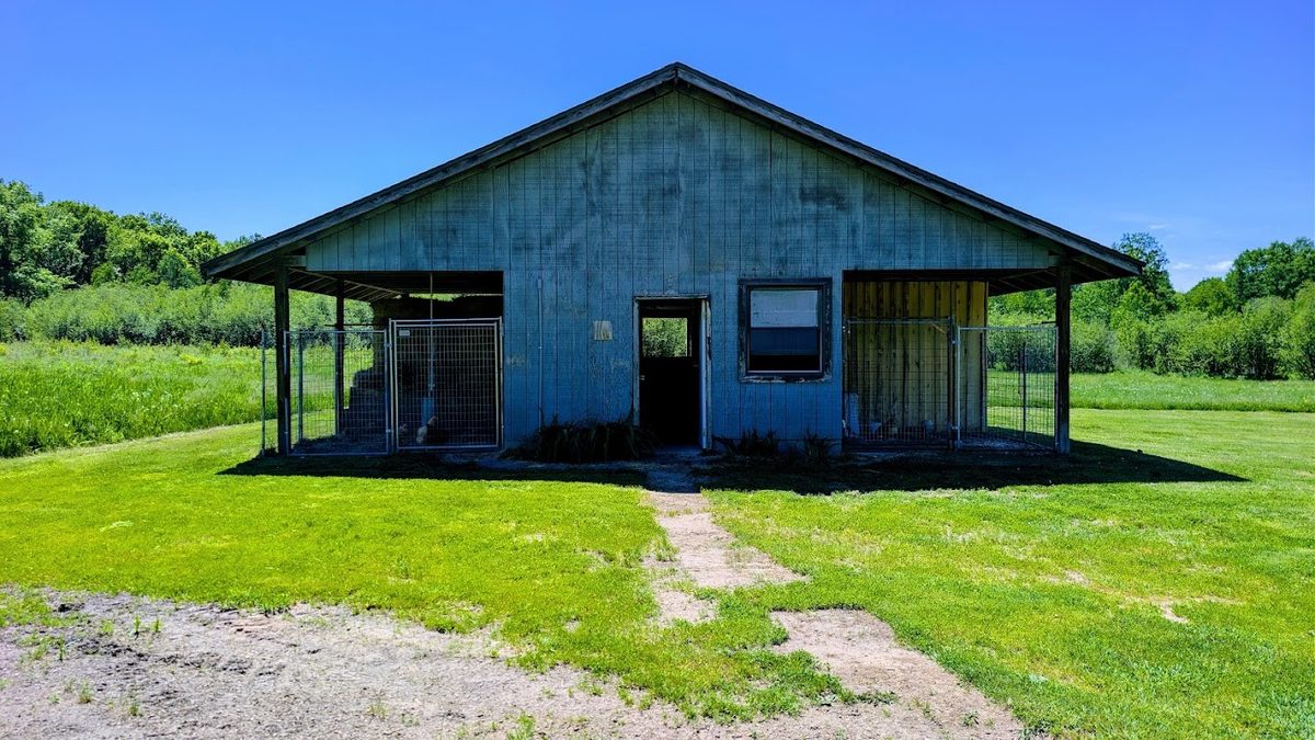 W4241 Walrath Road, Glen Flora WI 54526 - Residential house for sale - MLS #1601860 - image32