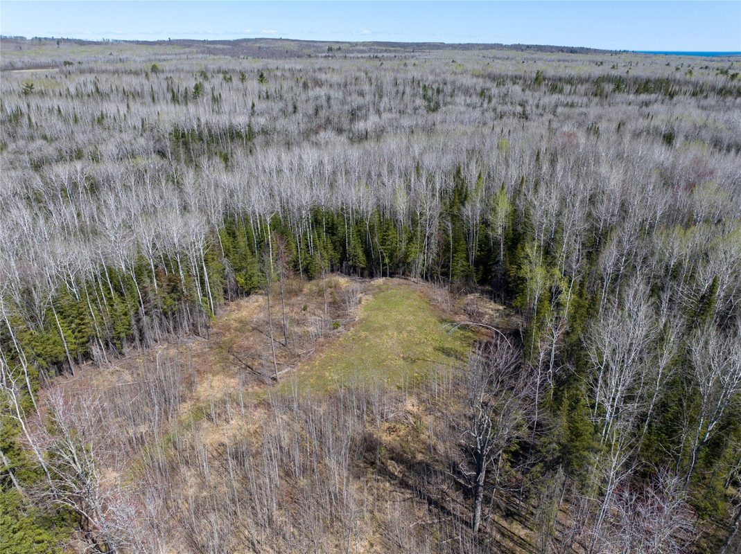 TBD Swedlund Road, Herbster WI 54844 - Land house for sale - MLS #1605965 - image3