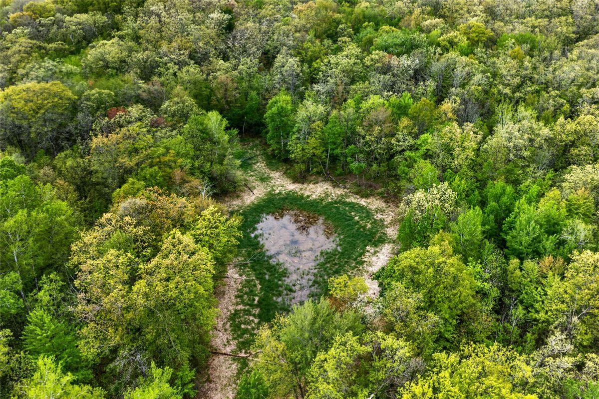 N8771 Fye Road, Trego WI 54888 - Land house for sale - MLS #1603147 - image25
