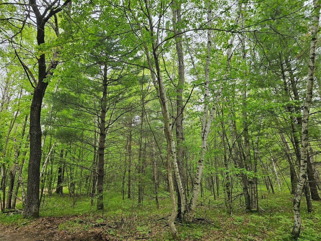 25227 Kruger Road, Webster WI 54893 - Land house for sale - MLS #1601553 - image5