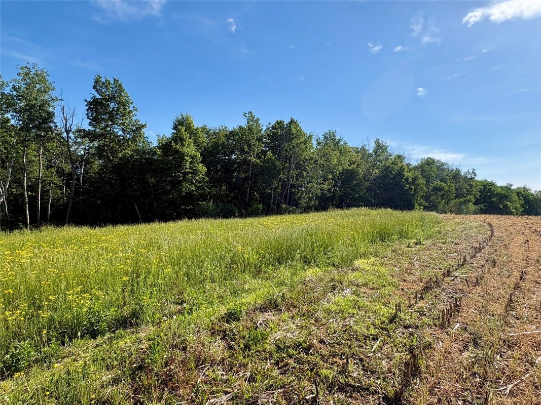 15.01 Acres 160th Avenue, Maiden Rock WI 54750 - Land house for sale - MLS #1604580 - image41