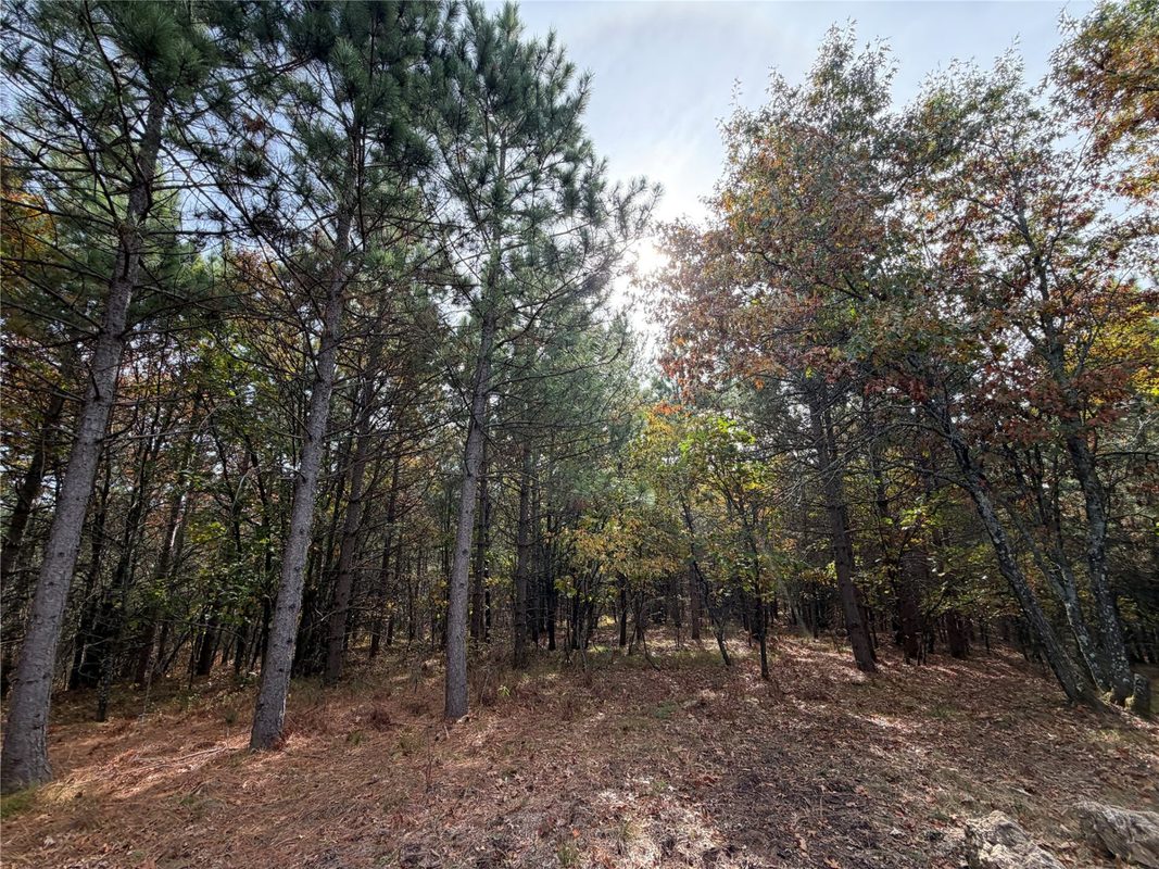 14375 Grell Road, Grantsburg WI 54840 - Land house for sale - MLS #1605788 - image6