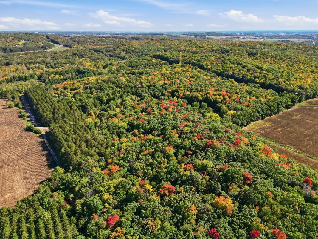 N6587 State Road 40, Elk Mound WI 54739 - Residential house for sale - MLS #1605426 - image39