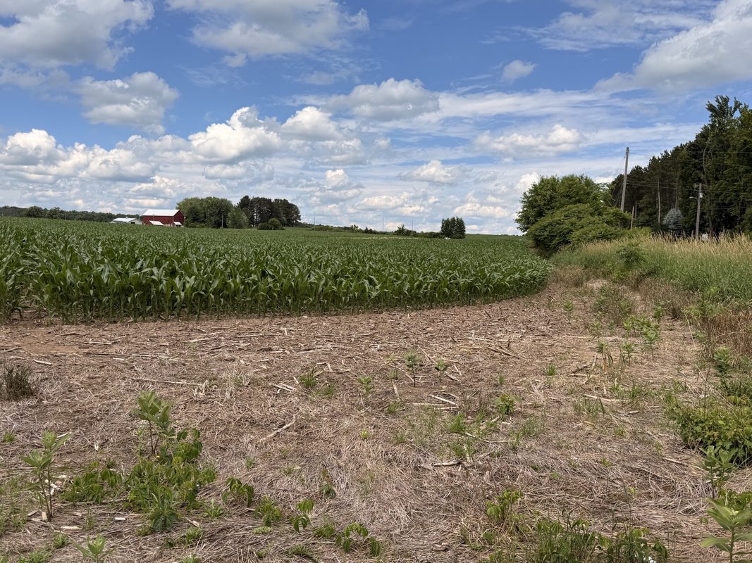 Lot 1 Main Street, Cadott WI 54727 - Land house for sale - MLS #1589809 - image2