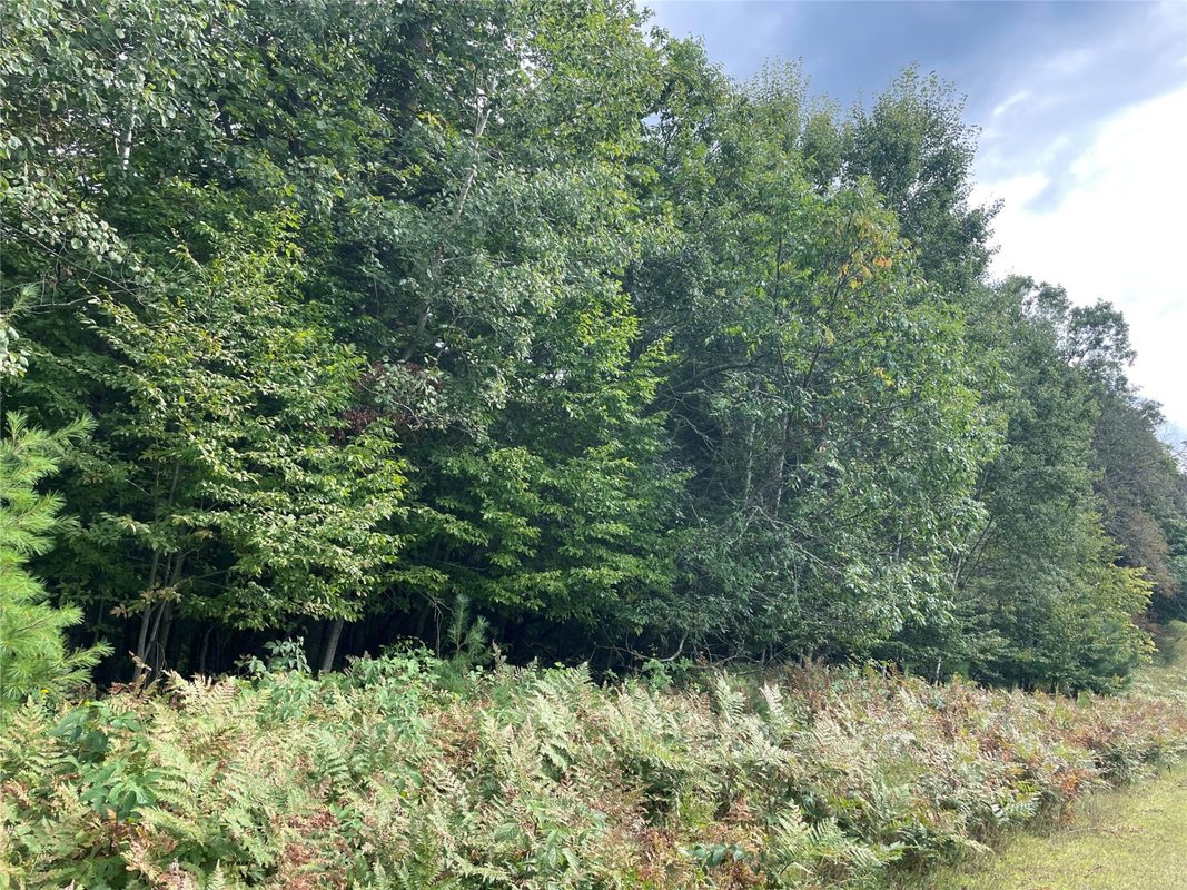 Lot 8 Hermosa Lane, Hayward, WI — photo 5