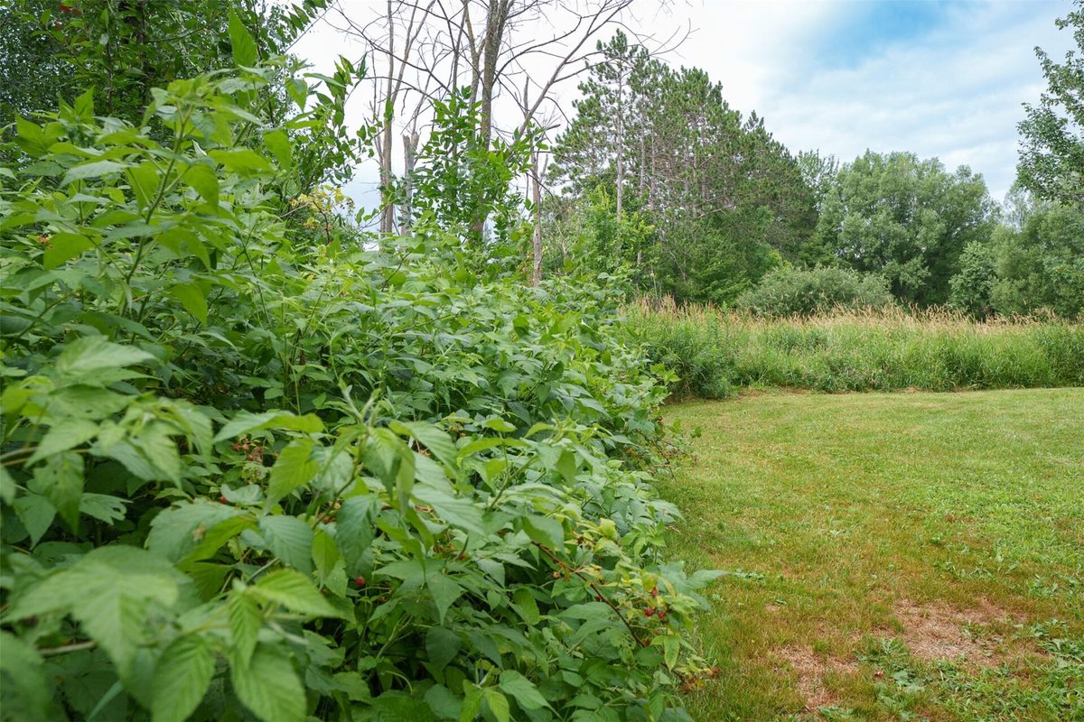 17028 State Highway 64, Gilman WI 54433 - Residential house for sale - MLS #1603513 - image33