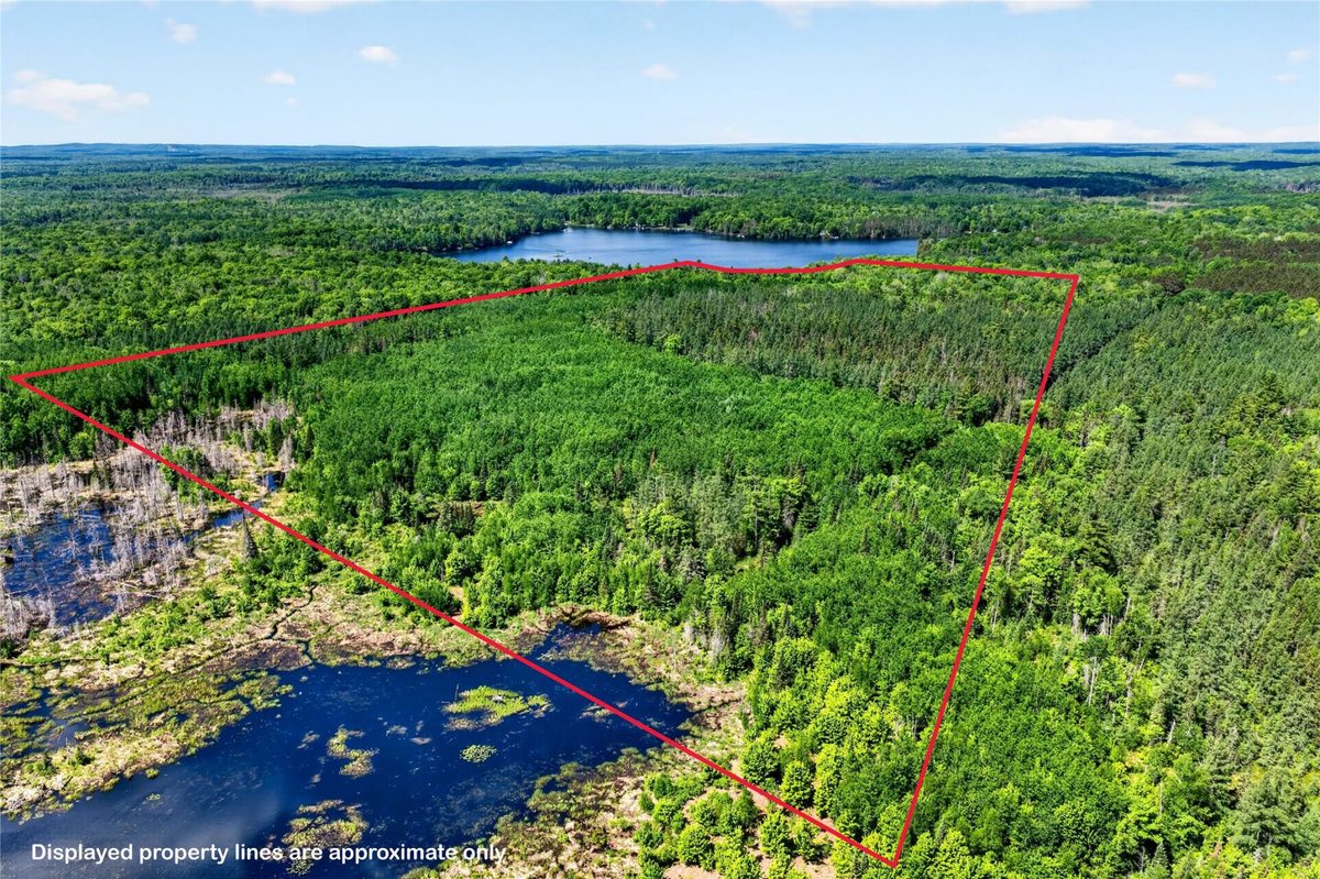 48285 Lake Knotting Lane, Cable WI 54821 - Residential house for sale - MLS #1602071 - image5