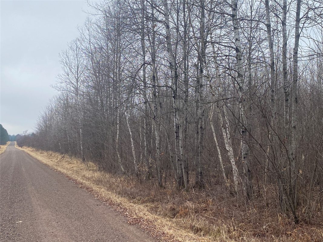 ON Shauger Road, Ogema, WI — photo 4
