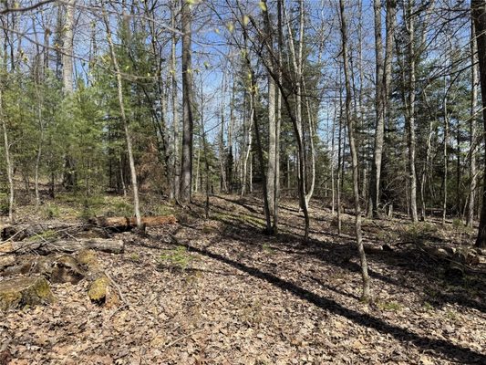 14667 W Point Drive, Hayward, WI