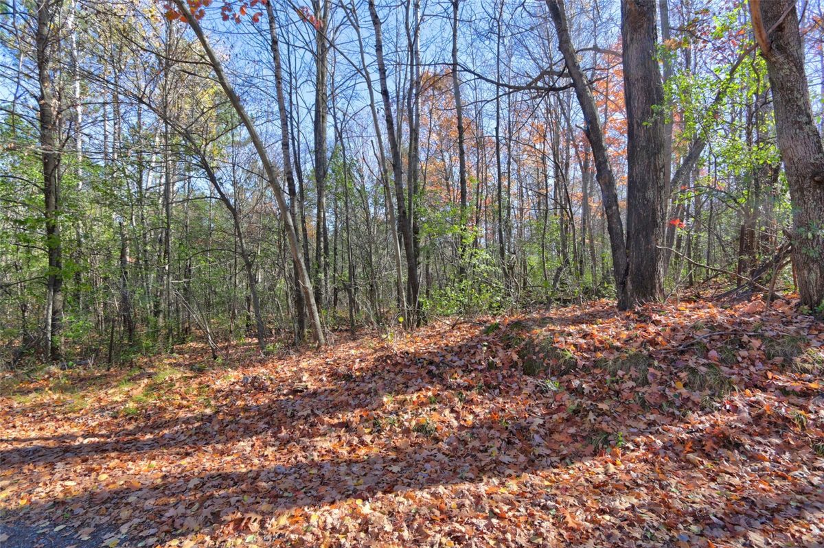 11720N Harper Road, Hayward WI 54843 - Land house for sale - MLS #1606038 - image3