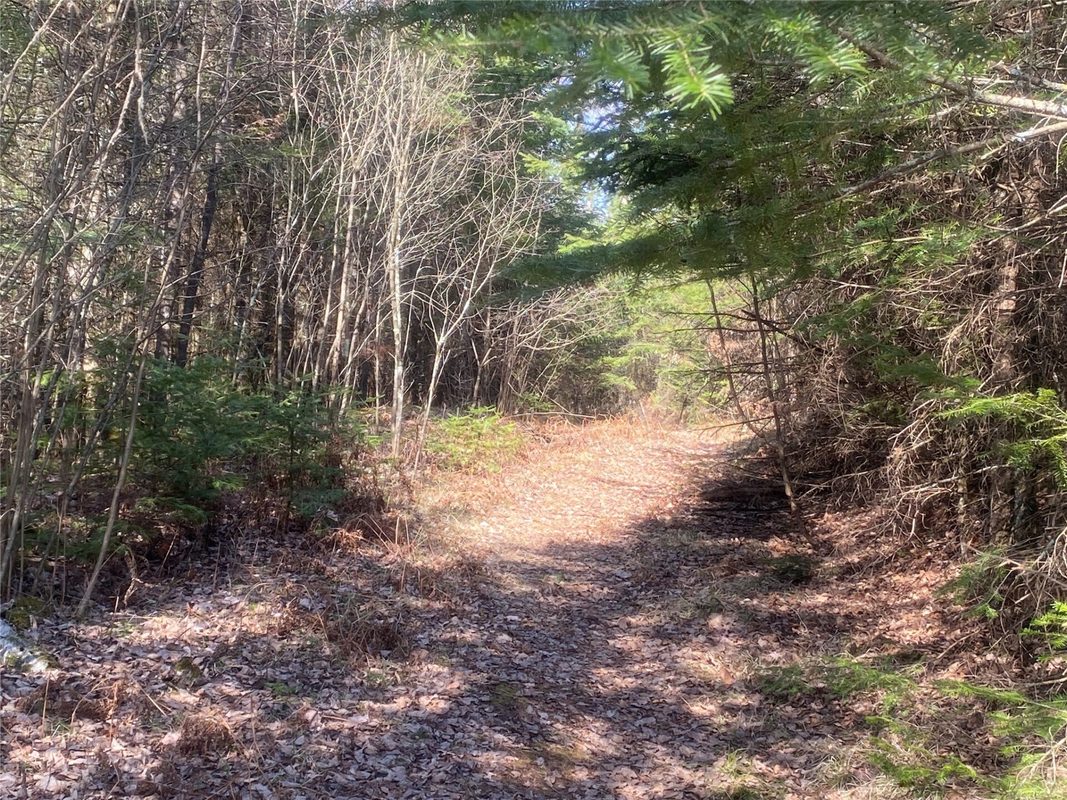ON CTH F Park Falls WI 54552 — photo 4